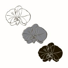 Vector set of orchids isolated on white background