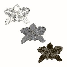Vector set of orchids isolated on white background N2