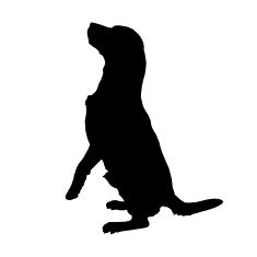 Vector silhouette of a dog N22