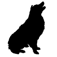 Vector silhouette of a dog N48