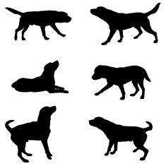 silhouette of dogs N6