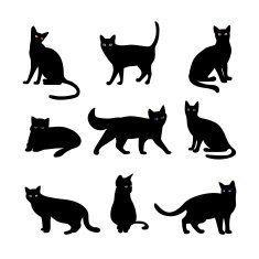 Vector Cats N2