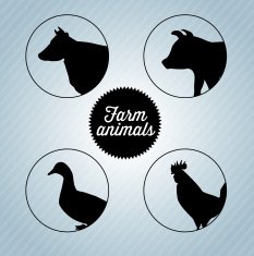 Farm Animals N52
