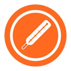 Thermometer Icon N16