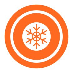 snowflake icon N19
