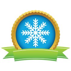 Gold snowflake logo N2
