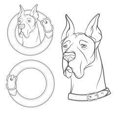 Set of vector drawing the dog in collar N2
