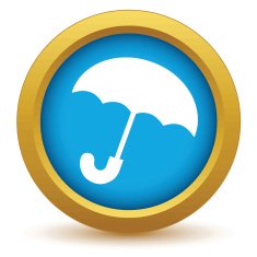 Gold umbrella icon N2