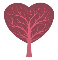 Heart vessels tree concept