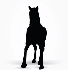 horse silhouette in parade walk pose N6
