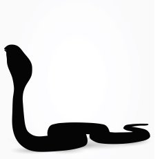 Snake Silhouette N9