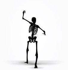skeleton silhouette in intimidating pose N2