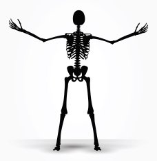 skeleton silhouette in power pose N2