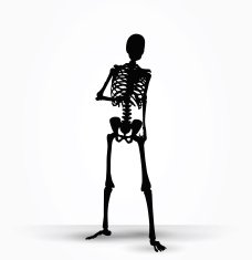 skeleton silhouette in shuffle pose N2