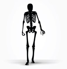 skeleton silhouette in old walk pose N5