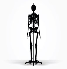 skeleton silhouette in default pose N2