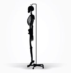 skeleton silhouette in default pose N3