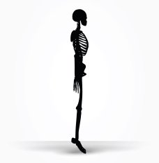 skeleton silhouette in default pose N5