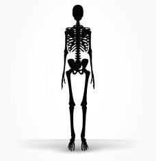 skeleton silhouette in default pose N6