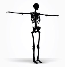 skeleton silhouette in default pose N7