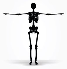 skeleton silhouette in default pose N8