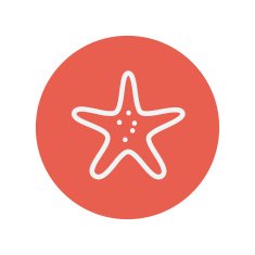 Starfish thin line icon