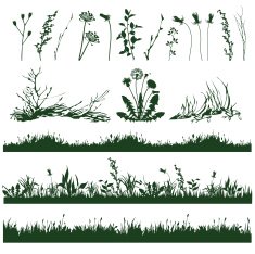 Grass N6
