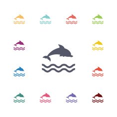 dolphin flat icons set