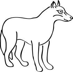 Dog N27