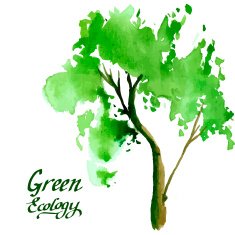 Young tree painted in watercolor