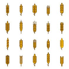 Ears of wheat bread symbols N2