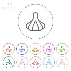 garlic icon N3