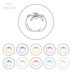 tomato icon N7