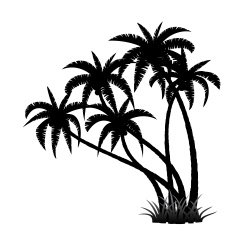Palm trees silhouette N2