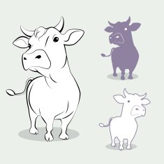 cow N19