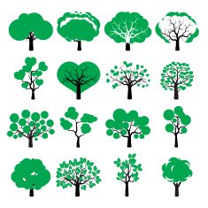 Set of Color Trees