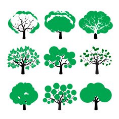 Set of Color Trees N2