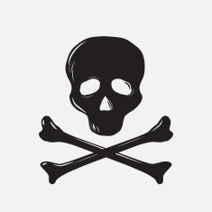 skull with bones N3