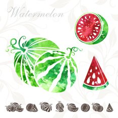 Watermelon icons set