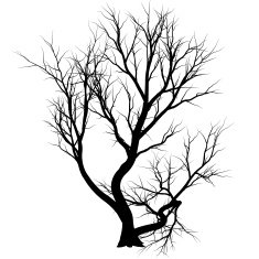 fantastic tree N4