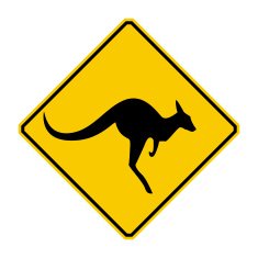 kangaroo N12