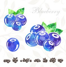 Blueberry icons set