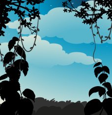 Silhouette vine