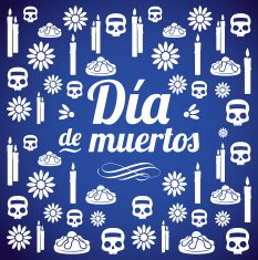 Day Of The Dead Texture Print Blue N2