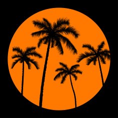 palms and orange sun