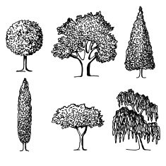 Set of trees in silhouettes