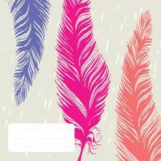 Vector hand-drawn feathers