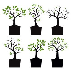 Set of black vector tree and green leafs