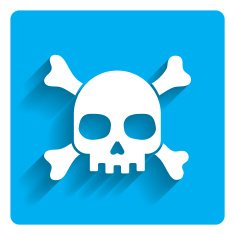 Skull And Crossbones Icon N5