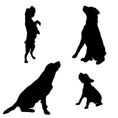 Vector silhouette of a dog N128